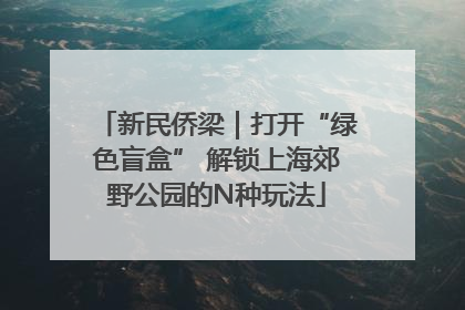 新民侨梁｜打开“绿色盲盒” 解锁上海郊野公园的N种玩法