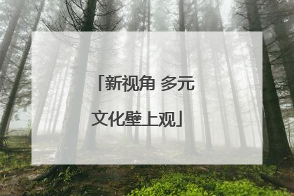 新视角 多元文化壁上观