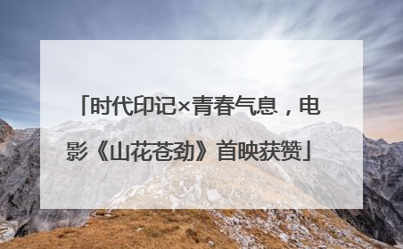 时代印记×青春气息，电影《山花苍劲》首映获赞