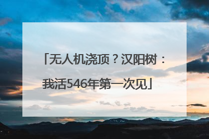 无人机浇顶？汉阳树：我活546年第一次见