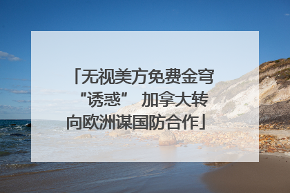 无视美方免费金穹“诱惑” 加拿大转向欧洲谋国防合作