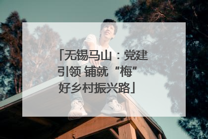 无锡马山：党建引领 铺就“梅”好乡村振兴路