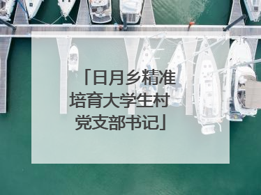 日月乡精准培育大学生村党支部书记