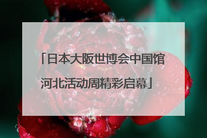 日本大阪世博会中国馆河北活动周精彩启幕