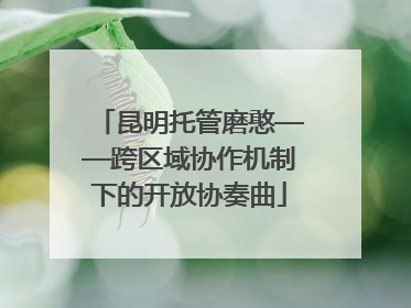 昆明托管磨憨——跨区域协作机制下的开放协奏曲