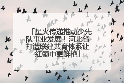 星火传递推动少先队事业发展！河北省打造联建共育体系让红领巾更鲜艳
