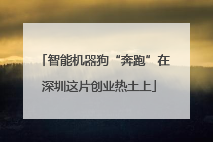 智能机器狗“奔跑”在深圳这片创业热土上