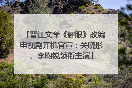 晋江文学《耀眼》改编电视剧开机官宣：关晓彤、李昀锐领衔主演