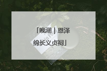 晚潮｜恩泽绵长义贞祠
