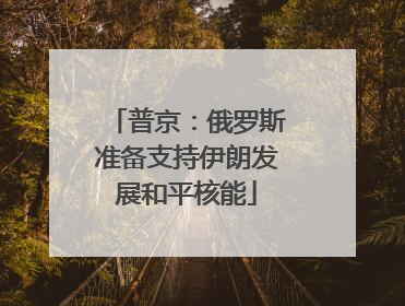 普京：俄罗斯准备支持伊朗发展和平核能
