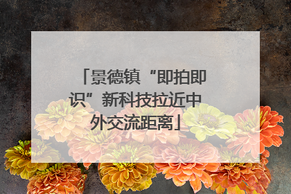 景德镇“即拍即识”新科技拉近中外交流距离