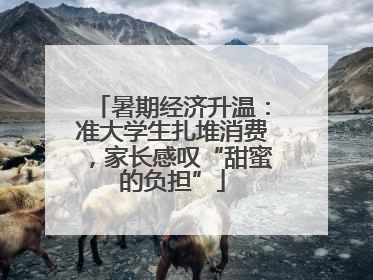 暑期经济升温：准大学生扎堆消费，家长感叹“甜蜜的负担”
