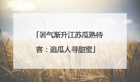 暑气渐升江苏瓜熟待客：追瓜人寻甜蜜