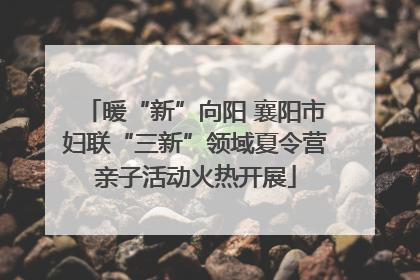 暖“新”向阳 襄阳市妇联“三新”领域夏令营亲子活动火热开展