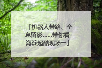 机器人带路、全息留影……带你看海淀超酷现场→
