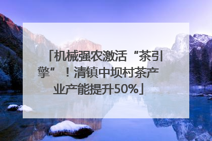 机械强农激活“茶引擎”！清镇中坝村茶产业产能提升50%