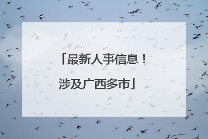 最新人事信息！涉及广西多市