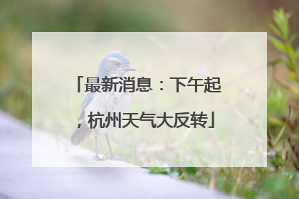 最新消息：下午起，杭州天气大反转