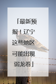 最新预报！辽宁这些地区可能出现弱龙卷