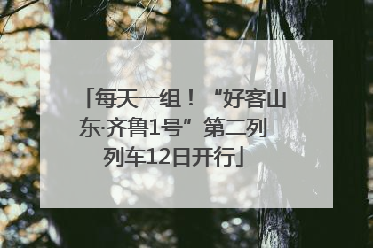 每天一组！“好客山东·齐鲁1号”第二列列车12日开行