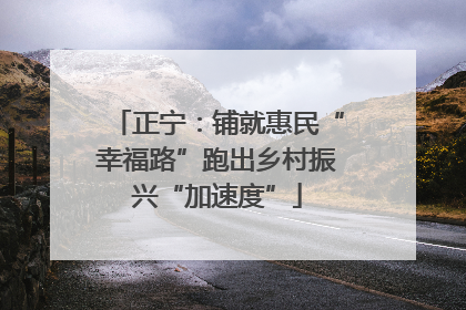 正宁：铺就惠民“幸福路”跑出乡村振兴“加速度”