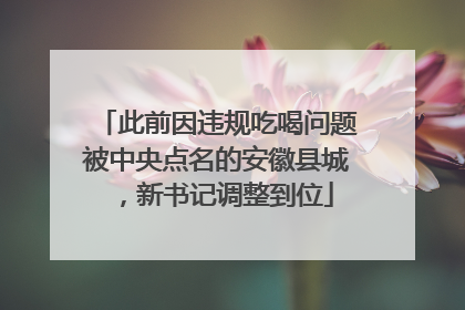 此前因违规吃喝问题被中央点名的安徽县城，新书记调整到位