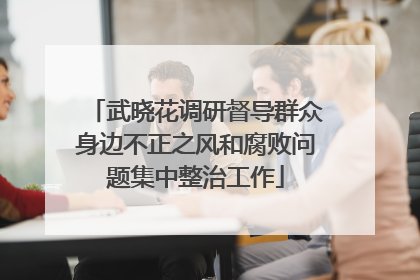武晓花调研督导群众身边不正之风和腐败问题集中整治工作