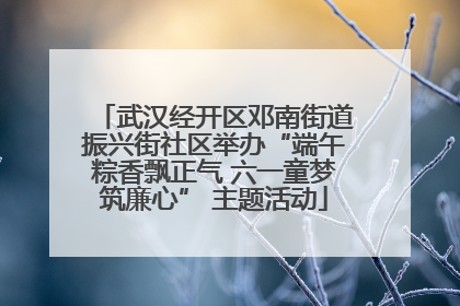 武汉经开区邓南街道振兴街社区举办“端午粽香飘正气 六一童梦筑廉心” 主题活动