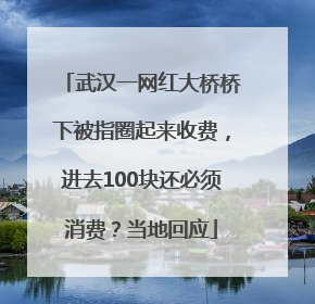 武汉一网红大桥桥下被指圈起来收费，进去100块还必须消费？当地回应
