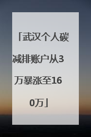 武汉个人碳减排账户从3万暴涨至160万