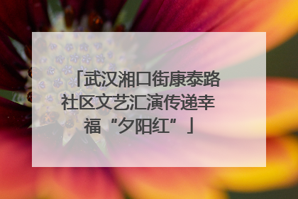 武汉湘口街康泰路社区文艺汇演传递幸福“夕阳红”