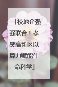 校地企强强联合！孝感高新区以算力赋能生命科学