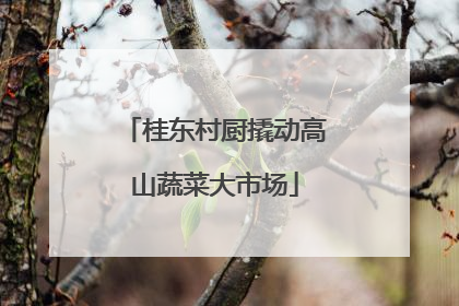 桂东村厨撬动高山蔬菜大市场