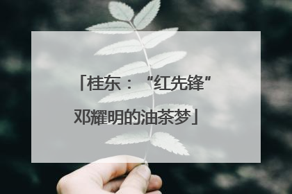 桂东：“红先锋”邓耀明的油茶梦