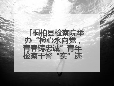 桐柏县检察院举办“检心永向党，青春铸忠诚”青年检察干警“实”迹展示活动