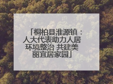 桐柏县淮源镇：人大代表助力人居环境整治 共建美丽宜居家园