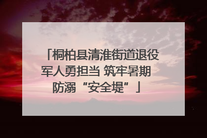桐柏县清淮街道退役军人勇担当 筑牢暑期防溺“安全堤”