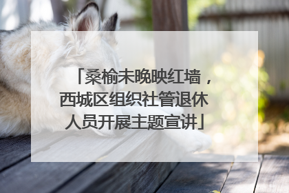 桑榆未晚映红墙，西城区组织社管退休人员开展主题宣讲