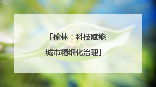 榆林：科技赋能城市精细化治理