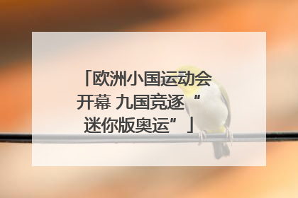 欧洲小国运动会开幕 九国竞逐“迷你版奥运”