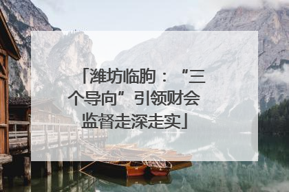 潍坊临朐：“三个导向”引领财会监督走深走实