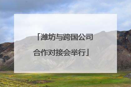 潍坊与跨国公司合作对接会举行