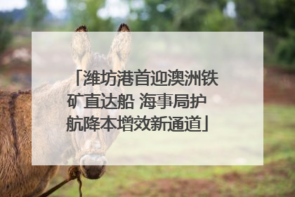 潍坊港首迎澳洲铁矿直达船 海事局护航降本增效新通道