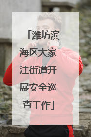 潍坊滨海区大家洼街道开展安全巡查工作