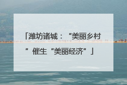 潍坊诸城：“美丽乡村”催生“美丽经济”