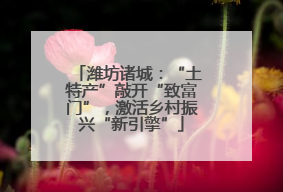 潍坊诸城：“土特产”敲开“致富门”，激活乡村振兴“新引擎”