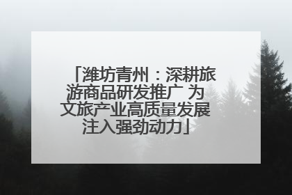 潍坊青州：深耕旅游商品研发推广 为文旅产业高质量发展注入强劲动力