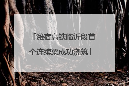潍宿高铁临沂段首个连续梁成功浇筑