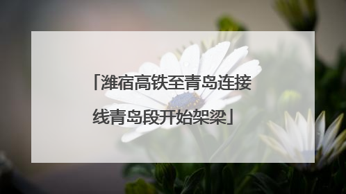 潍宿高铁至青岛连接线青岛段开始架梁