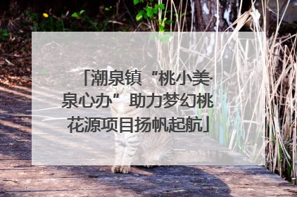 潮泉镇“桃小美·泉心办”助力梦幻桃花源项目扬帆起航